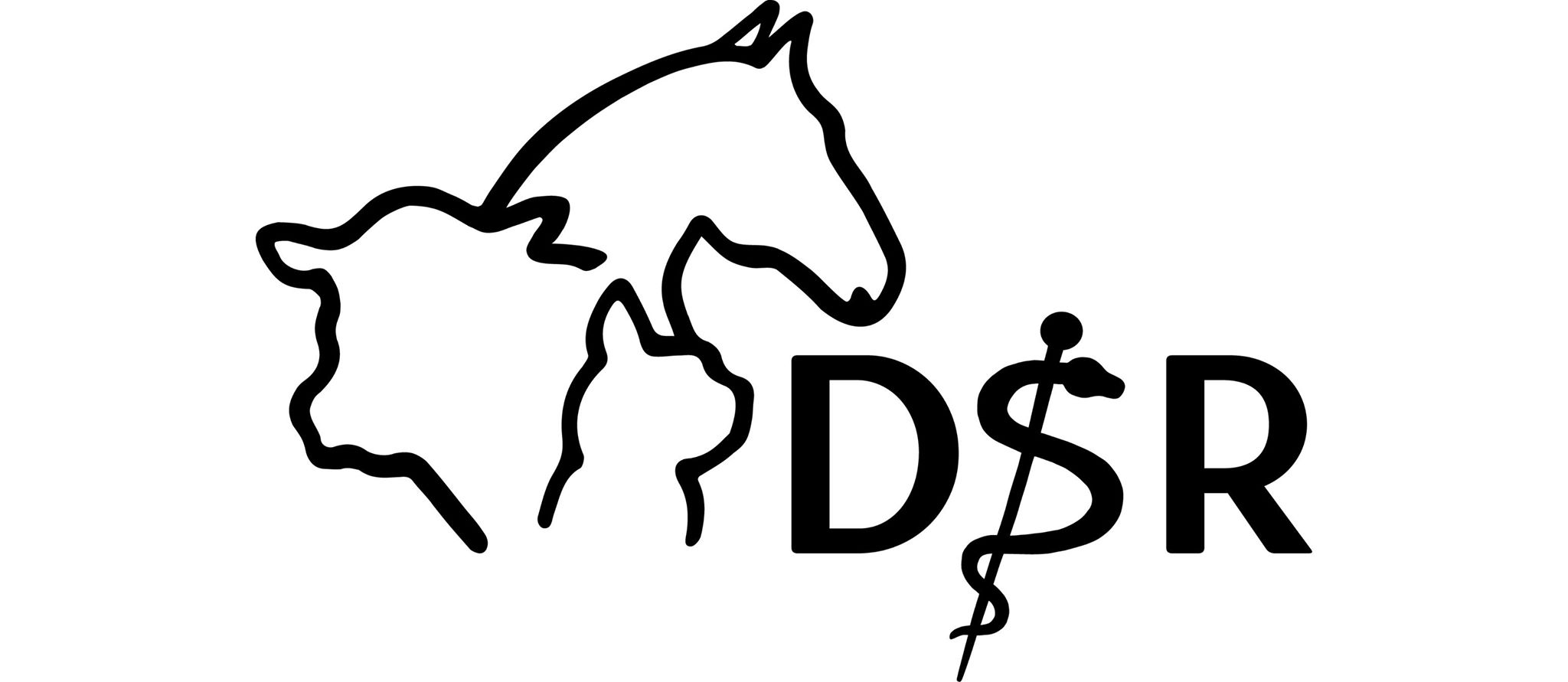 Diergeneeskunde Studentenraad